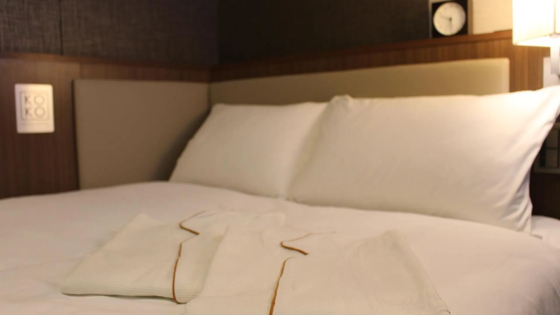 Koko Hotel Ginza-1Chome طوكيو